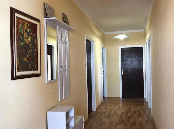 Sunny Day Barbat na Rabu