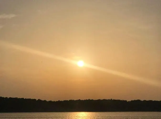 Sunny Day